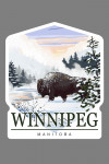 Winnipeg, Manitoba - Contour