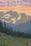 Montana - Spring Flowers - Lantern Press Artwork