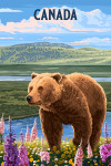 Canada - Painterly - Grizzly Bear in Maedow