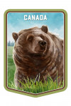 Canada - Watercolor Study - Grizzly Bear - Contour