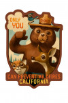 California - Smokey Bear - Only You - Oil Painting - Contour