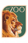 Lion Up Close - Visit the Zoo - Contour