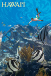 Hawai'i - Underwater Snorkeler
