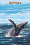 Hawai'i - Humpback Whale