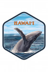 Hawai'i - Humpback Whale - Contour