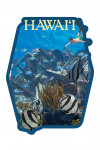 Hawai'i - Underwater Snorkeler - Contour