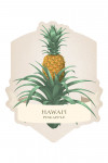 Hawai'i - Pineapple - Vintage Flora - Contour