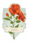 Hawai'i - Red Hibiscus - Vintage Flora - Contour