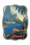 Hawai'i - Vintage Tropical Airplane - Contour