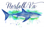 Norfolk, Virginia - Great White Shark - Watercolor