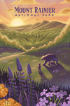 Mount Rainier National Park, Washington - Lithograph - Bear and Spring Flowers