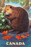 Canada - Beaver - Lithograph
