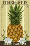 Charleston, South Carolina - Colonial Pineapple