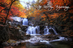 Star Valley, Wyoming - Photography - Waterfall & Autumn Colors