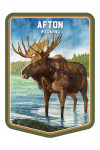 Afton, Wyoming - Watercolor Study - Moose - Contour
