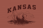 Kansas - Artist's Sketchbook - Bison