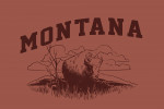 Montana - Artist's Sketchbook - Bison