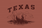 Texas - Artist's Sketchbook - Bison