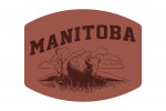Manitoba - Artist's Sketchbook - Bison - Contour