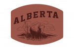 Alberta - Artist's Sketchbook - Bison - Contour