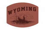 Wyoming - Artist's Sketchbook - Bison - Contour