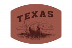 Texas - Artist's Sketchbook - Bison - Contour