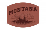 Montana - Artist's Sketchbook - Bison - Contour