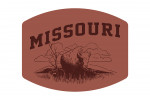 Missouri - Artist's Sketchbook - Bison - Contour