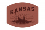 Kansas - Artist's Sketchbook - Bison - Contour