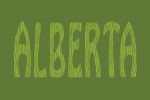 Alberta - Outdoor Typography - Woodgrain Type