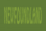 Newfoundland - Outdoor Typography - Woodgrain Type
