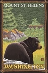 Black Bear in Forest - Mount St. Helens, Washington - LP Original Poster