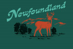 Newfoundland - Vintage Matchbook - Whitetail Deer