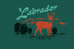Labrador - Vintage Matchbook - Whitetail Deer