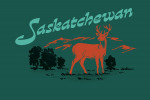 Saskatchewan - Vintage Matchbook - Whitetail Deer