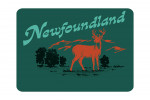 Newfoundland - Vintage Matchbook - Whitetail Deer - Contour