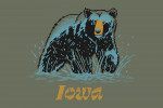 Iowa - Distressed Ink - Black Bear