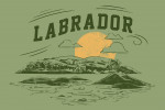 Labrador - Artist's Sketchbook - Rolling Hills