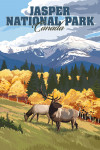 Jasper National Park, Canada - Painterly - Elk and Mountains