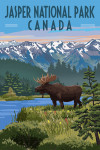 Jasper National Park, Canada - Painterly - Moose - Summer Scene