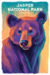Jasper National Park, Canada - Vivid - Black Bear