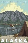 Denali National Park, Alaska - Bush Plane & Fishing - Lantern Press Artwork