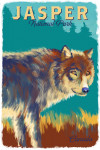 Jasper National Park, Canada - Vivid - Wolf