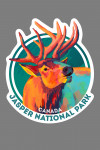 Jasper National Park, Canada - Vivid - Roosevelt Elk - Contour