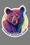 Jasper National Park, Canada - Vivid - Black Bear - Contour