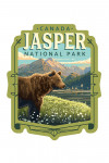 Jasper National Park, Canada - Painterly - Bear - Contour