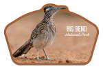 Big Bend National Park, Texas - Photography - Contour