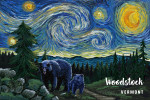 Woodstock, Vermont - Starry Night - Bear & Cub