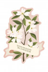 Vintage Flora - Dogwood Blossom - Contour