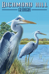 Richmond Hill, Georgia - Blue Heron